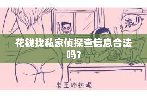 花钱找私家侦探查信息合法吗？