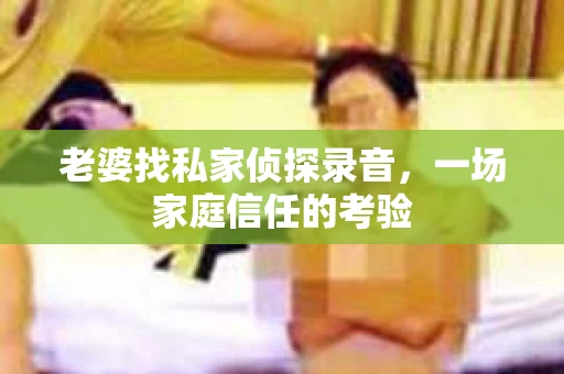 老婆找私家侦探录音，一场家庭信任的考验