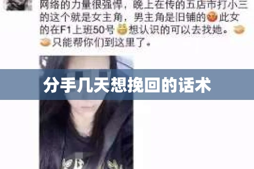 分手几天想挽回的话术
