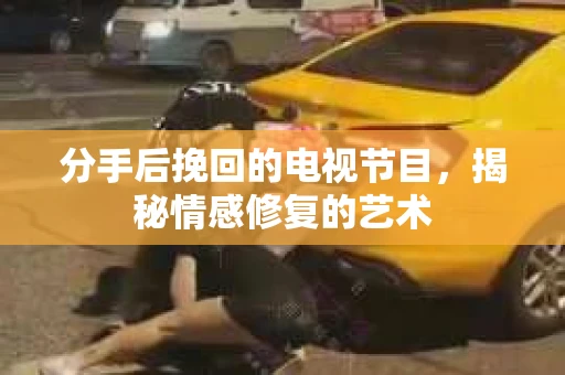 分手后挽回的电视节目，揭秘情感修复的艺术