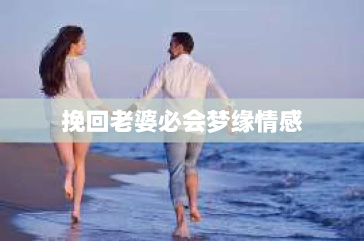 挽回老婆必会梦缘情感