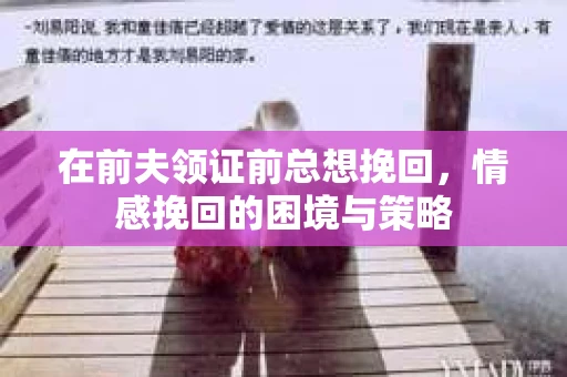 在前夫领证前总想挽回，情感挽回的困境与策略