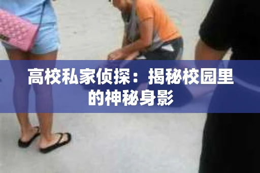 高校私家侦探：揭秘校园里的神秘身影