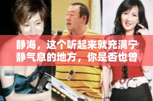 静海，这个听起来就充满宁静气息的地方，你是否也曾有过需要侦探帮忙解决一些棘手问题的时刻？今天，我们就来聊聊这个话题：静海有私家侦探吗？