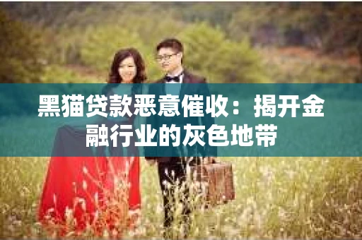 黑猫贷款恶意催收：揭开金融行业的灰色地带