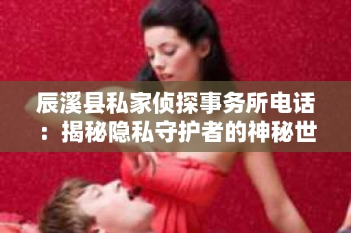 辰溪县私家侦探事务所电话：揭秘隐私守护者的神秘世界