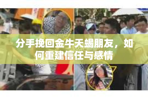 分手挽回金牛天蝎朋友，如何重建信任与感情